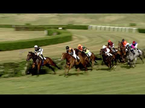 2. dostih - Cena Mr Righta - dostihy Most 18. 5. 2020