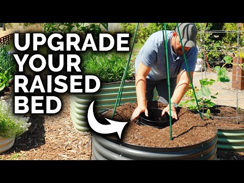 9 Beginner Raised Bed Garden Mistakes to Avoid