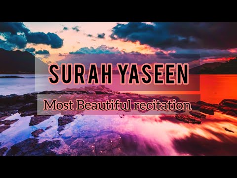 Surah Yaseen | Qari Tareq Mohammed|Wish fulfilling Surah💖💗💖