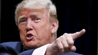 EVERY DONALD TRUMP INSULT Of 2015
