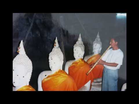 The journey from Blowing Zen to The Shadow that Seeks the Sun