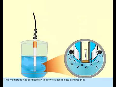 Dissolved Oxygen Sensor
