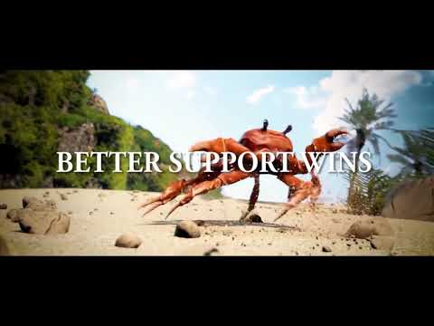Better support wins
