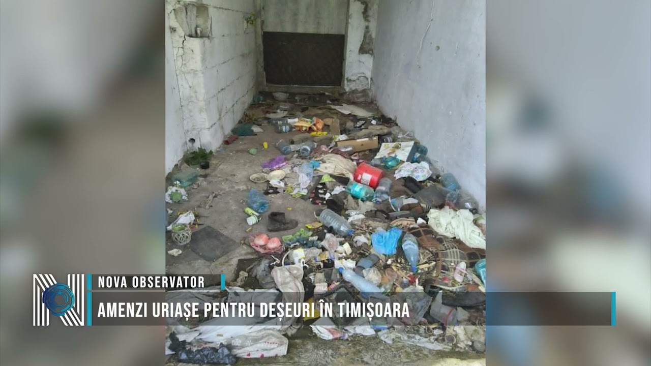 Amenzi uriașe pentru deșeuri în Timișoara