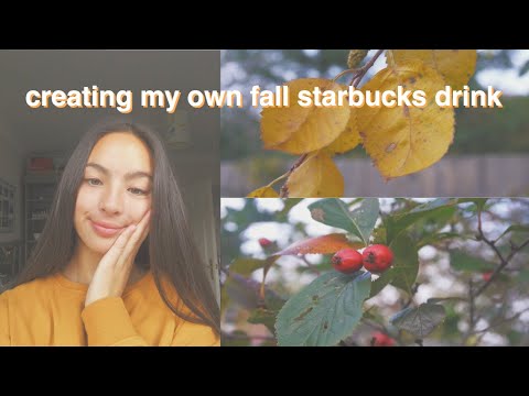 Ich mache meinen eigenen Starbucks Autumn Iced Latte