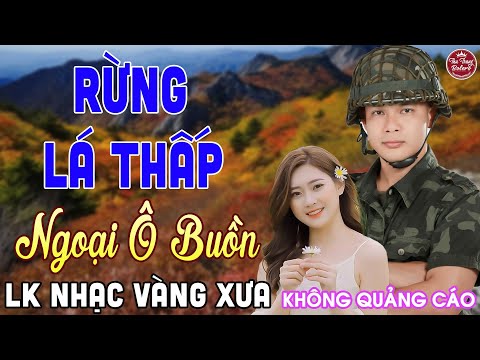 MV RỪNG LÁ THẤP ➤ LK Nhạc Vàng Xưa CÔNG TUẤN Toàn Bài Hay Nghe Cực Êm Tai✔️KHÔNG QUẢNG CÁO