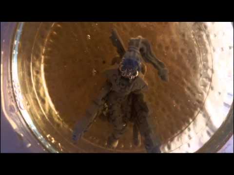 Shadowsun Alternative Part 1