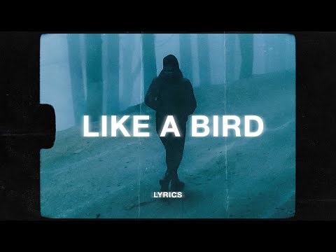 Just Like A Bird (feat. Solace) - Imfinenow