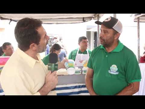 Cooperativa Coopervame transforma leite em renda para agricultores familiares de AlagoasOpção 2