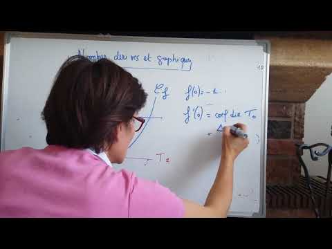 nombre dérivé et lecture graphique