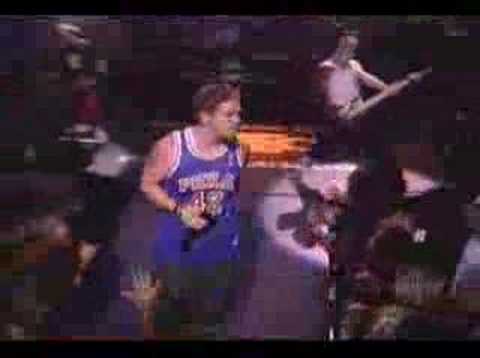 Primer 55 - Loose live