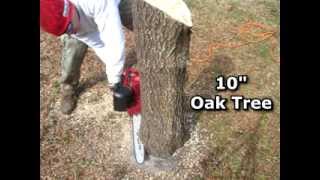 Harbor Freight Electric Chainsaw UNBOXING and REVIEW Sears Craftsman Chain Saw