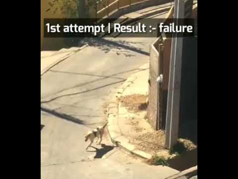 Motivational video,*NEVER EVER GIVE UP*