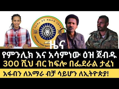 ዜና || የምኒልክ እና አሳምነው ዕዝ ተጋድሎ || አፋብንን የተመለተው መግለጫ