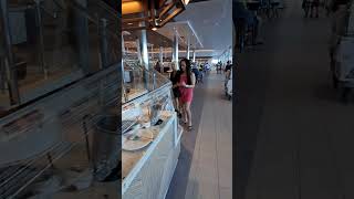 Celebrity Beyond Cruise, Buffet walk thru.  #cruiselife #caribbean #cruiseship #ship #travel