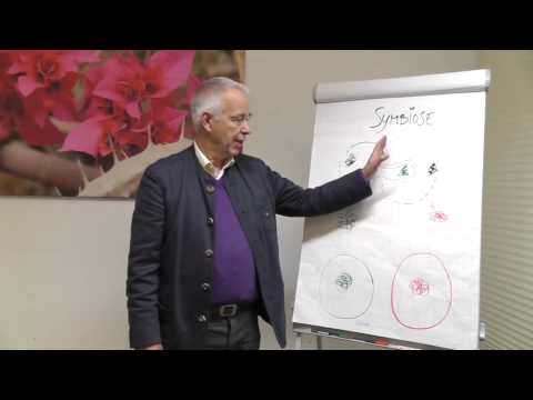 Beziehung und Symbiose (Dr. Langlotz)