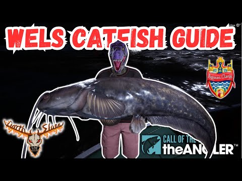 How To Catch Monster Wels Catfish! -the Angler