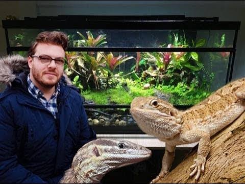 Music producers love reptiles too!| Copper Sound Studio Tour