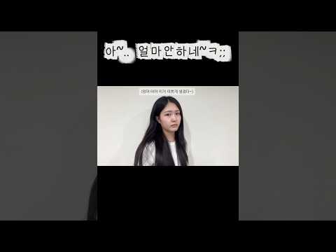 비디오 13