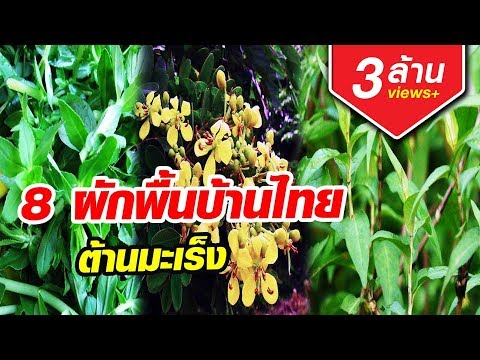 ลูกปัดทิเบตแรง การผ่าตัดรักษาของความอ่อนแอ