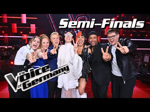 Entscheidung: Wer ist im Finale von "The Voice" 2025? | TVOG 2025