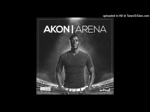 Akon - Feeling The Nikka (Ft. D"Banj)