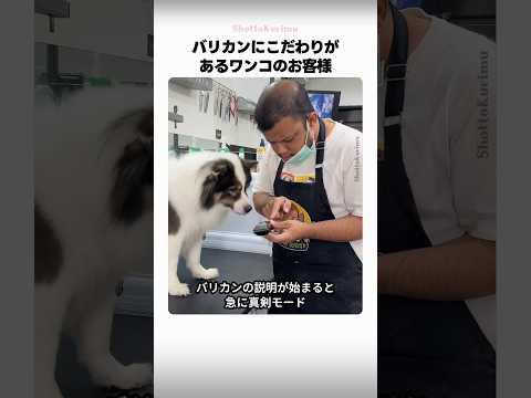 バリカンにこだわりがある犬のお客様