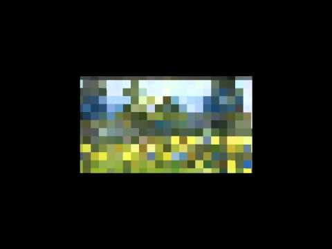 RKS Radomsko - GUKS Gorzkowice