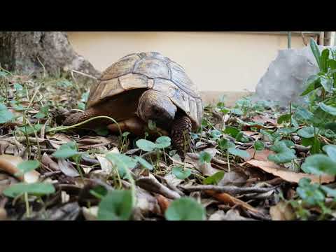 varboska live @ SUTRA for Currents.fm COMMON MULTIVERSE INITIATIVE 12/03/21