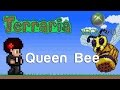 Terraria Xbox - Queen Bee [83] 