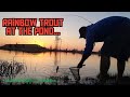 Video Thumbnail for Pond Fishing for Rainbow Trout at The Wildlife Federation in Saskatoon,Sk