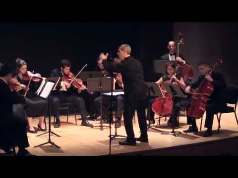 Alexander Raichev - Symphony No. 4 / Tsenov Chamber Ensemble