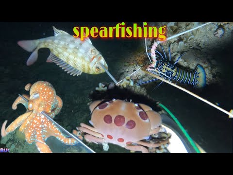 vlog422- NIGHT SPEARFISHING Part 1