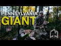 Chasing BIG BUCKS In The PA Mountains