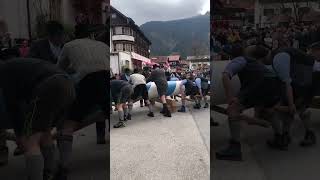 Bayrischzell - Aufstellen des Maibaumes - 28,5 m hoch - 1