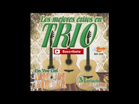Si Quieres video