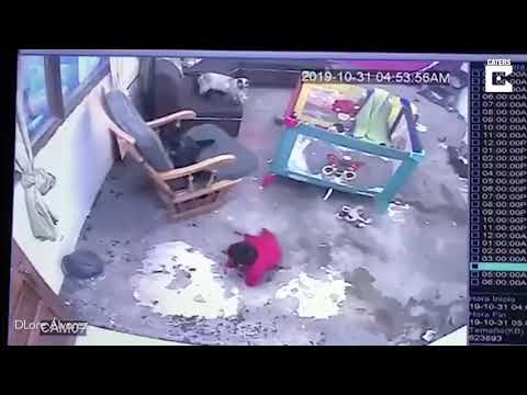 Cat Saves Baby From Falling Down Stairs👍👍👍