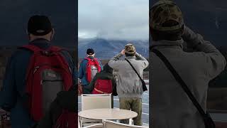 The Lighthouse at the ARCTIC CIRCLE #cruiseship #arctic #lighthouse