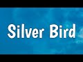 Mark Lindsay - Silver Bird (Lyrics) (From The Gray Man)