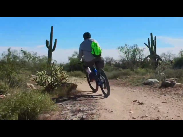 Judge.me YouTube video placeholder