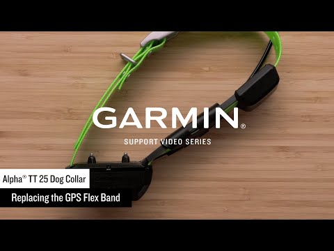 Garmin Support | Alpha® TT 25 / T 20 Dog Collars | Replacing the GPS Flex Band Antenna