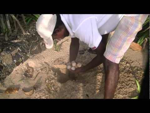 Peacock Beach Hotel, Stiltfishermen and Blacksmith inTissamaharama