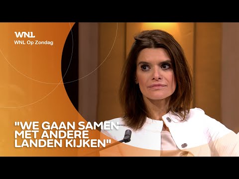 Staatssecretaris Visser: nog onduidelijkheid over andere reisbeperkingen Verenigd Koninkrijk