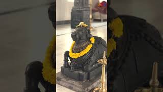 Temple video