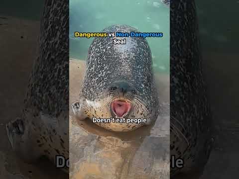 Do you like seals that eat people?