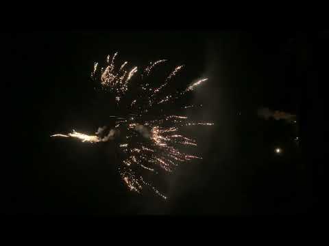 5306   Brocade crown