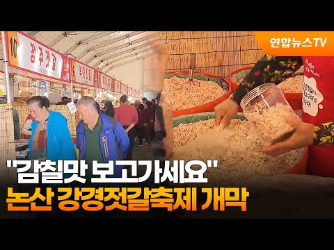 "감칠맛 보고가세요"…논산 강경젓갈축제 개막 / 연합뉴스TV (YonhapnewsTV)