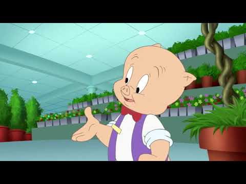 The Great Rabbit Detective - Part 2 Porky Pig Finds Isabella