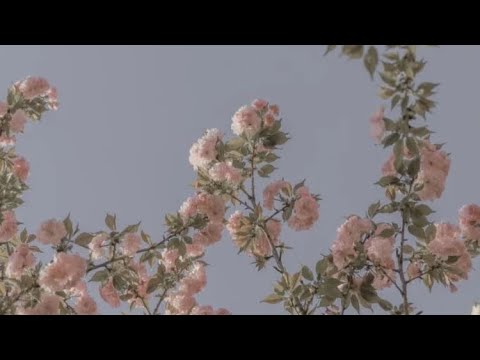 sayang naman - eurika