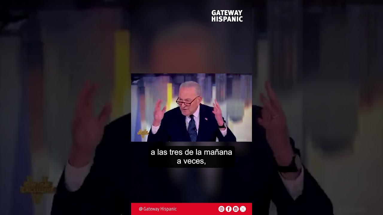 Chuck Schumer says he wakes up at 3am thinking about Elon Musk